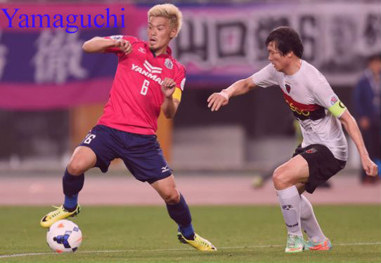 Hotaru Yamaguchi footballer