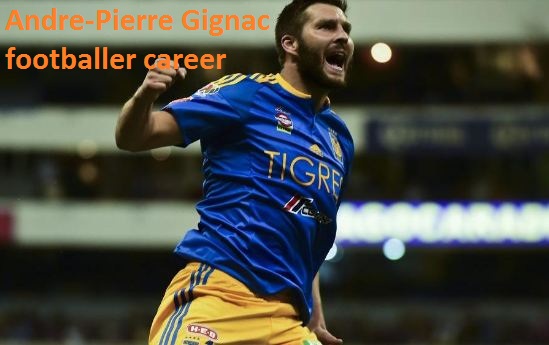 Andre-Pierre Gignac profile