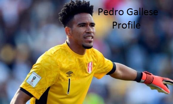 Pedro Gallese profile