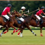Arena Polo