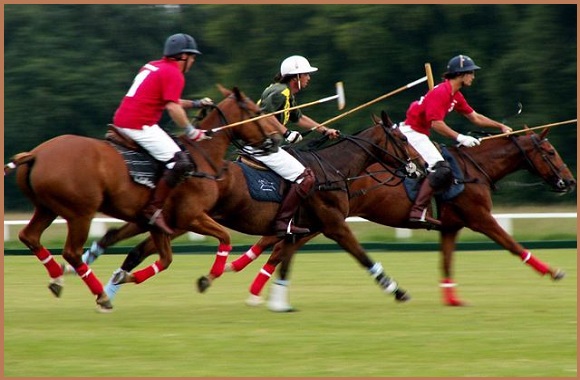 About Arena Polo, Equipment, Rules, and History of the sports