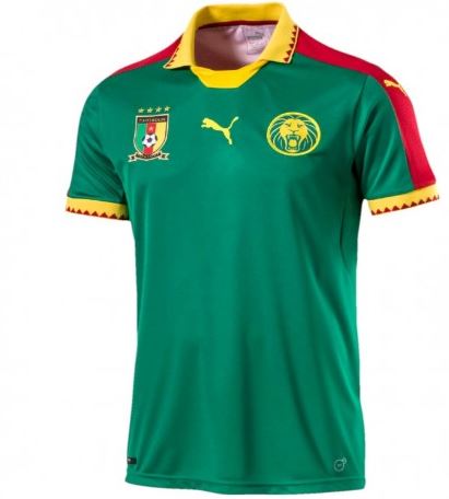 Cameroon football team Jersey