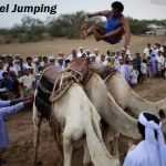 Camel Jumping