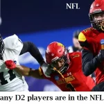 How many D2 Players are in the NFL