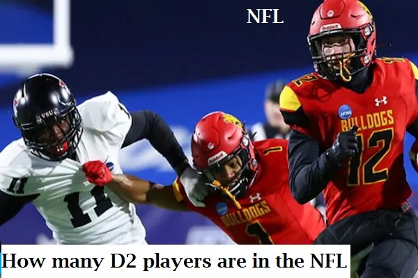 How Many D2 Players are in the NFL?