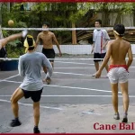 Cane Ball History