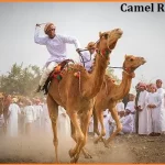 History of Camel Racing