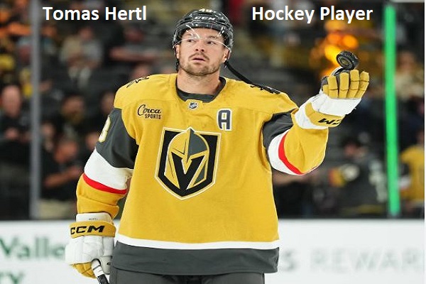 Tomas Hertl Hockey Player’s Net Worth, Wife, & Latest News