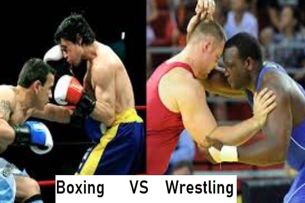 Difference between boxing and wrestling